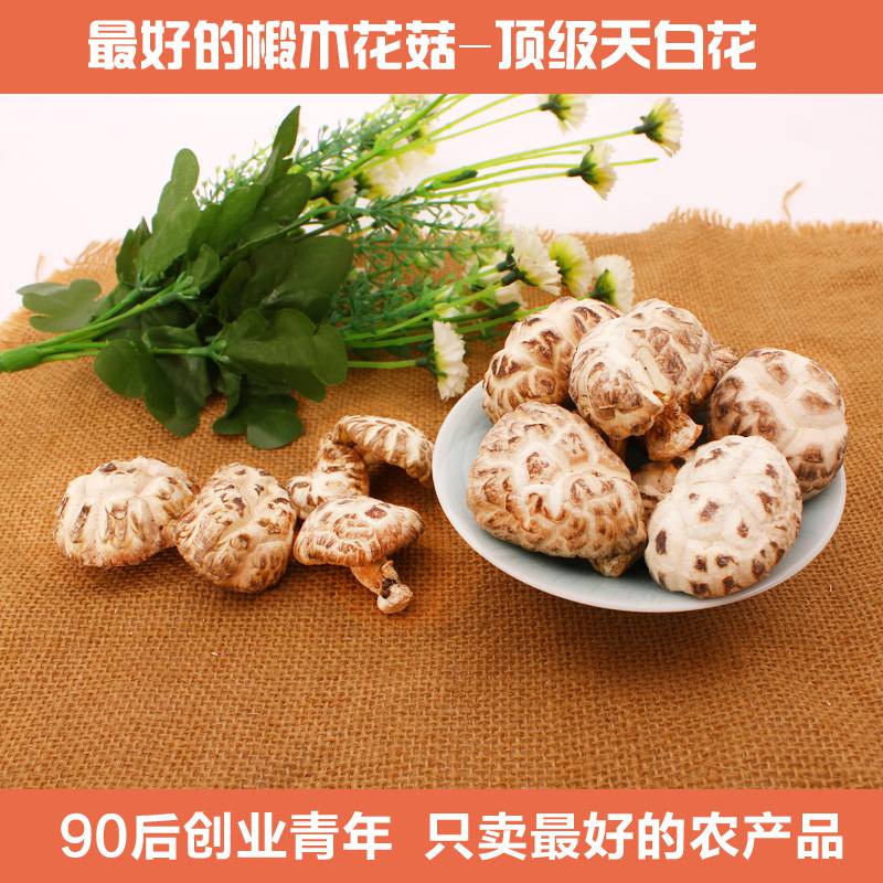 野生冬菇椴木香菇干货南北干货土特产蘑菇椴木天白花菇250g顶级 丰收购