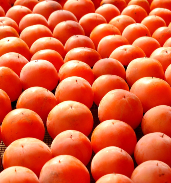 永康新楼方山柿