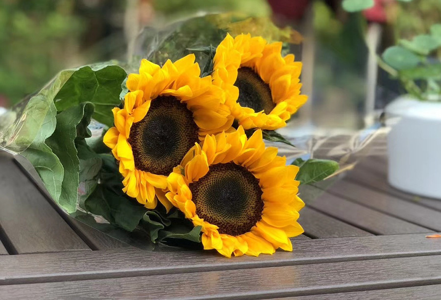 一种代表希望与阳光的花 丰收购 一种代表希望与阳光的花 丰收购